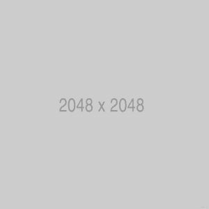 Mocassins Alessandro